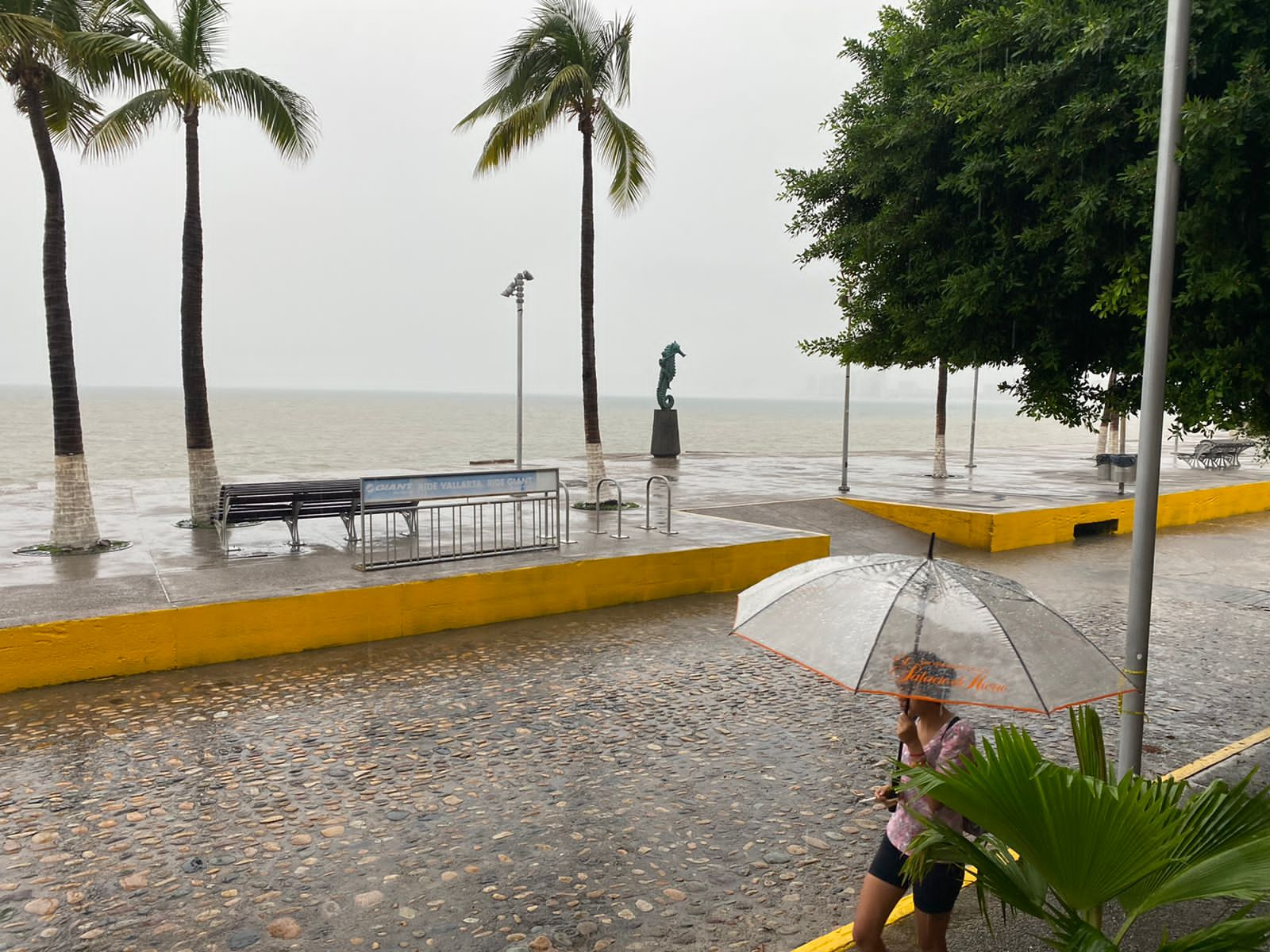 Lidia se intensifica a categoría cuatro Vive Puerto Vallarta