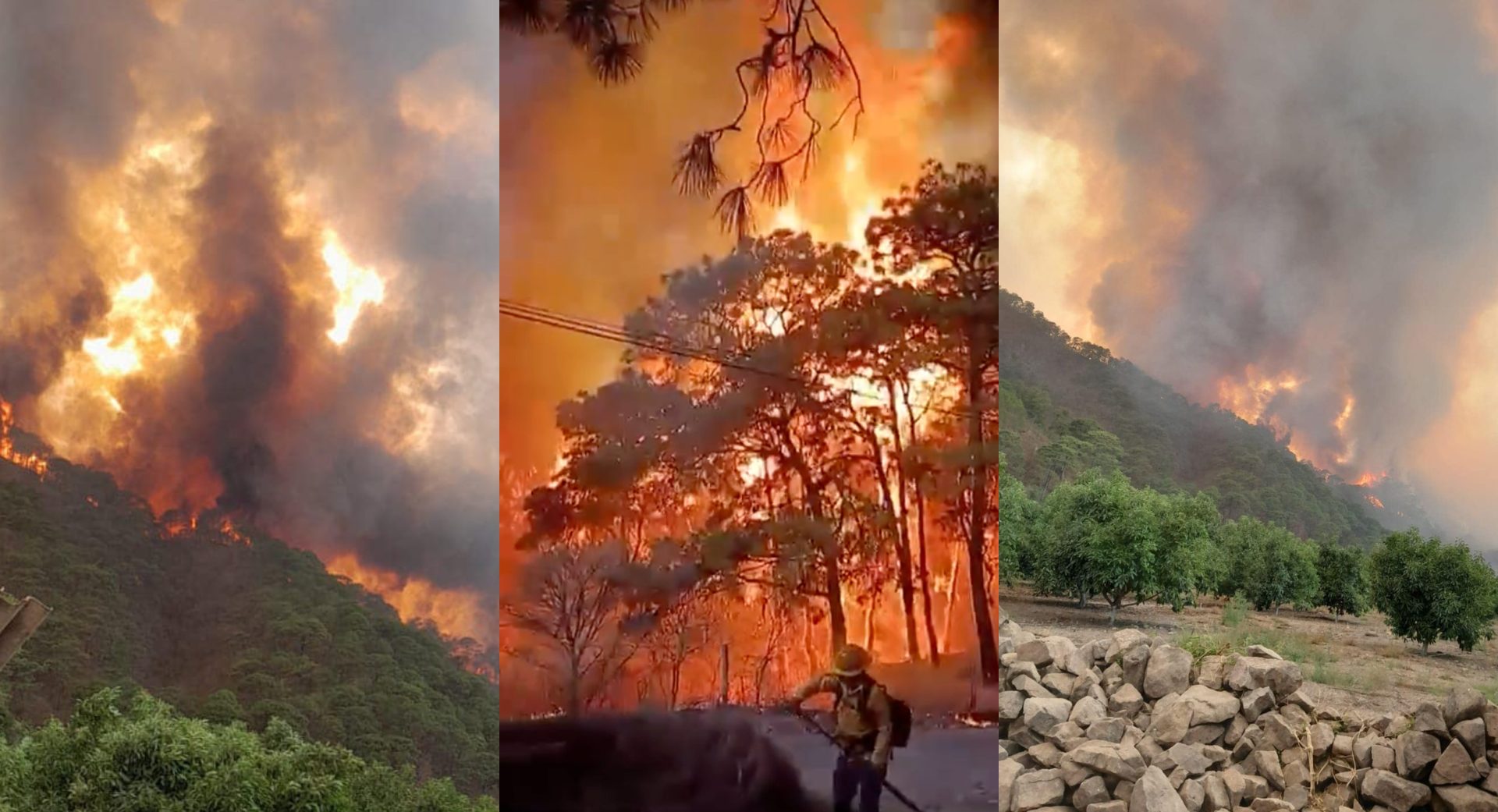 Un Brigadista Muerto Y Dos Heridos Por Incendio Forestal En Mascota