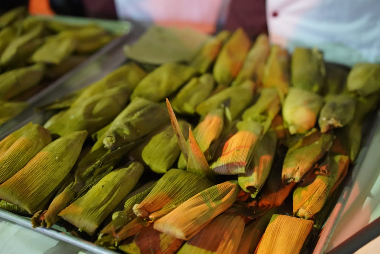Regalaron tamales por Día de la Candelaria en Vallarta Vive Puerto Vallarta