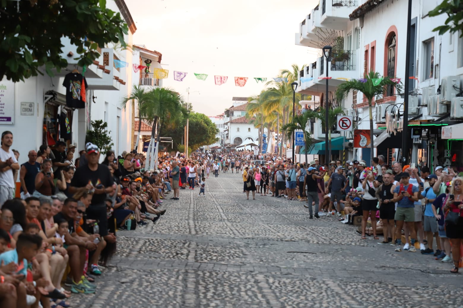 Miles disfrutan el desfile Festival del Día de Muertos Puerto Vallarta ...